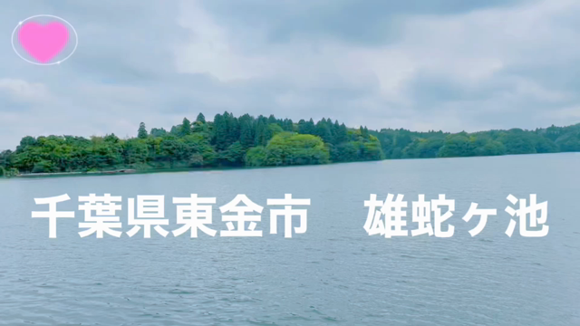 東金市「たぶん・・・世界一小さいチョコレート工場」のチョコが美味しすぎたの記事動画
