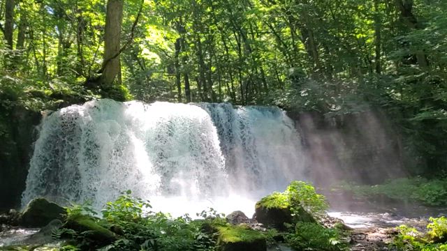 大切な自分には「快適さ」を遠慮なく与えていいの記事動画