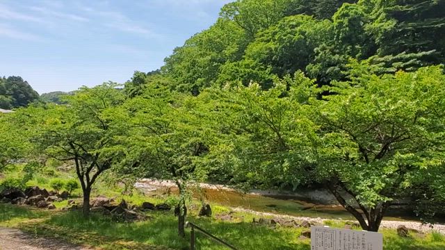 【更新】あまりに気持ちいいのでの記事動画