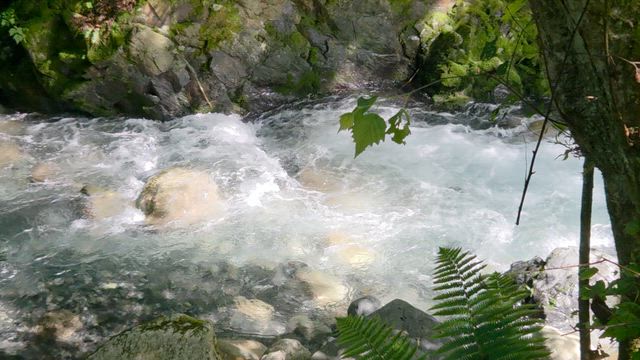 暑気払いの動画：自由に涼んでください♪の記事動画