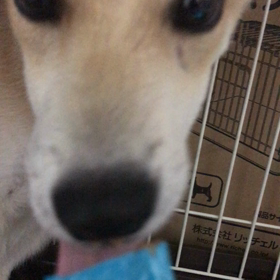 2020/07/20の画像