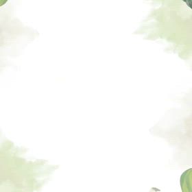 2025/07/31の画像