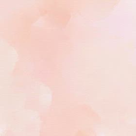 2026/02/19の画像