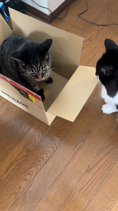 ムダ(箱？)だらけの人生？の記事動画