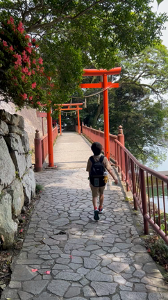 梅雨の晴れ間に出かけたクルーズ旅の記事動画