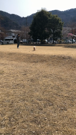ホテル三日月！の記事動画
