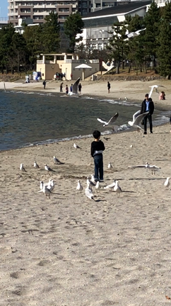 きりん13歳っ！の記事動画