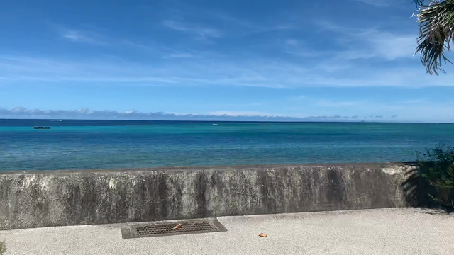 子供と沖縄本島半周の旅✨の記事動画