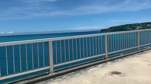 子供と沖縄本島半周の旅✨の記事動画