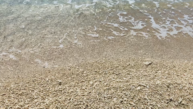 子供と沖縄本島半周の旅✨の記事動画