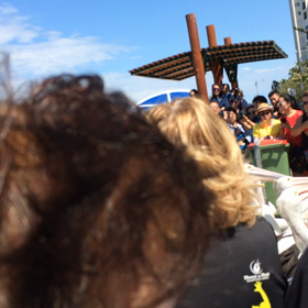 オーストラリアで見たペリカンの画像