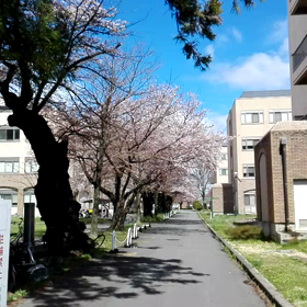 非常事態宣言後の週末の画像