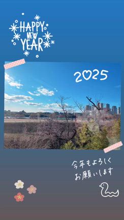 2024年のライブ参戦記録を書きました。の記事動画