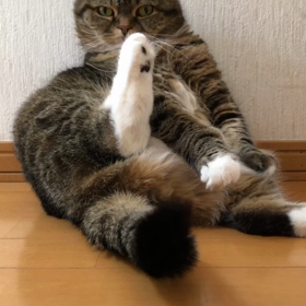 足上げポーズ♡スコ座りの画像