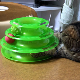 一人遊び♡の画像