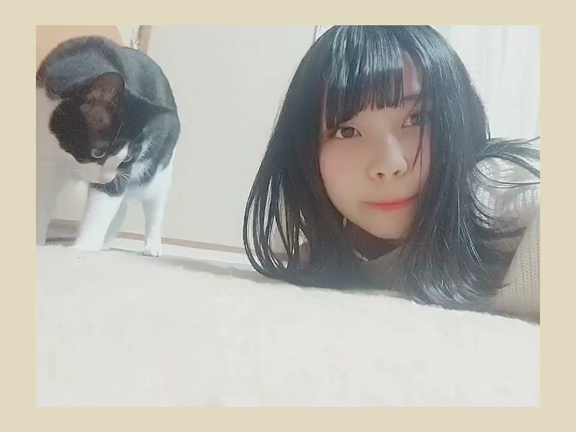 2018/12/13の記事動画