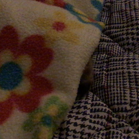 お次は鼻先の画像