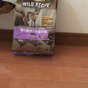 ジビエブーム？の画像