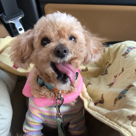 冷えの輪の輪の画像