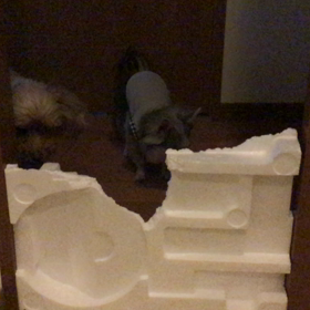 バリケードの向こう側の画像