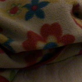 夜は眠いのの画像