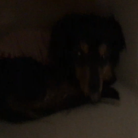 お返事パチパチの画像