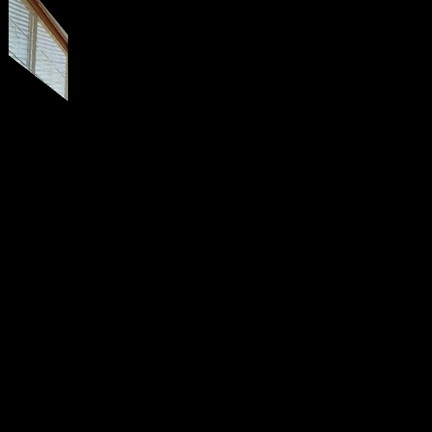 今日も楽しかった～の記事動画