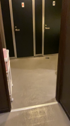 トイレ紹介の記事動画