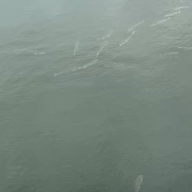 曇り空の画像