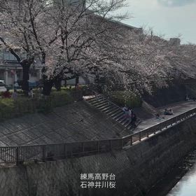 2026/04/27の画像