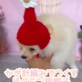 2025/08/14の画像