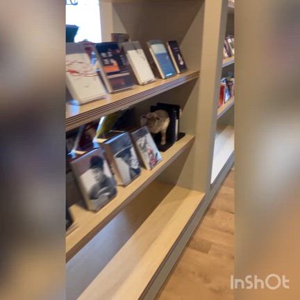 充実のシェアラウンジで集中力を買うの記事動画