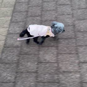 今日も楽しく…の画像