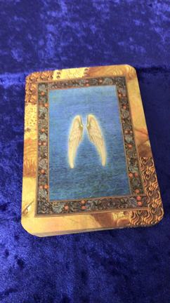 トライ&エラーの記事動画