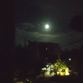 今日はお月見の画像