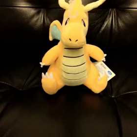 2017.2.22　インスタ動画、更新〜〜の画像