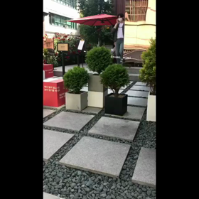 髪の毛、の画像