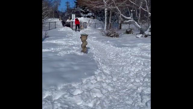 Happy Valentine's Day♡と雪遊び╰(*´︶`*)╯♡の記事動画