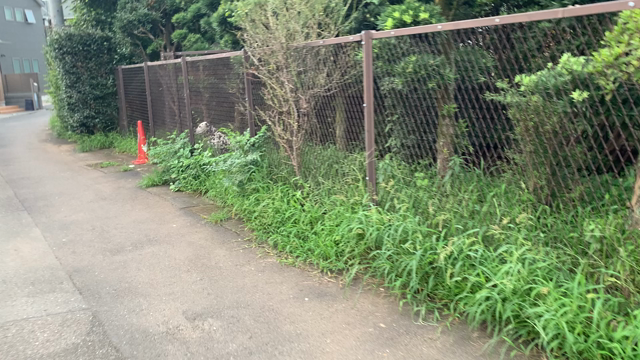 たぶん待っててくれてたって、勝手に思ってます。の記事動画