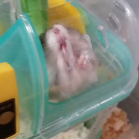 ちょうだいよぉ～の画像