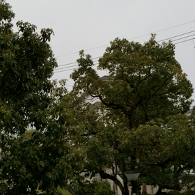雨ㅠㅠの画像
