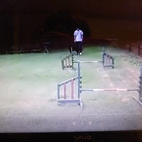 なつかしい動画の画像