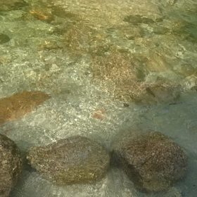 清里 ５の画像