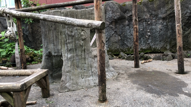 のぼりべつクマ牧場　中編の記事動画