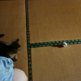 お騒がせしておりますの画像