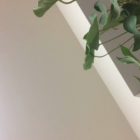 鳩と少年を録音しました。の画像