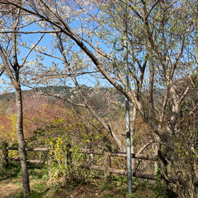 「慣れ」でなく「習慣」に♫の画像