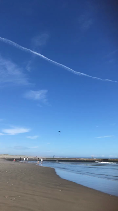 海～♡の記事動画