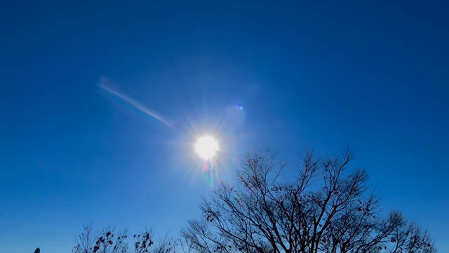 冬至の日の過ごし方☆邪気を払い、身体を温めるの記事動画