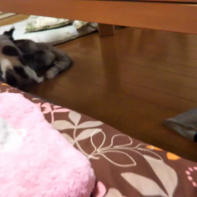仲良しではないようですね(笑)の画像